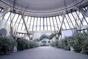 Wedding Venue